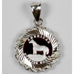 PURE SILVER AMERICAN QUARTER HORSE COIN in STERLING SILVER ROPE PENDANT